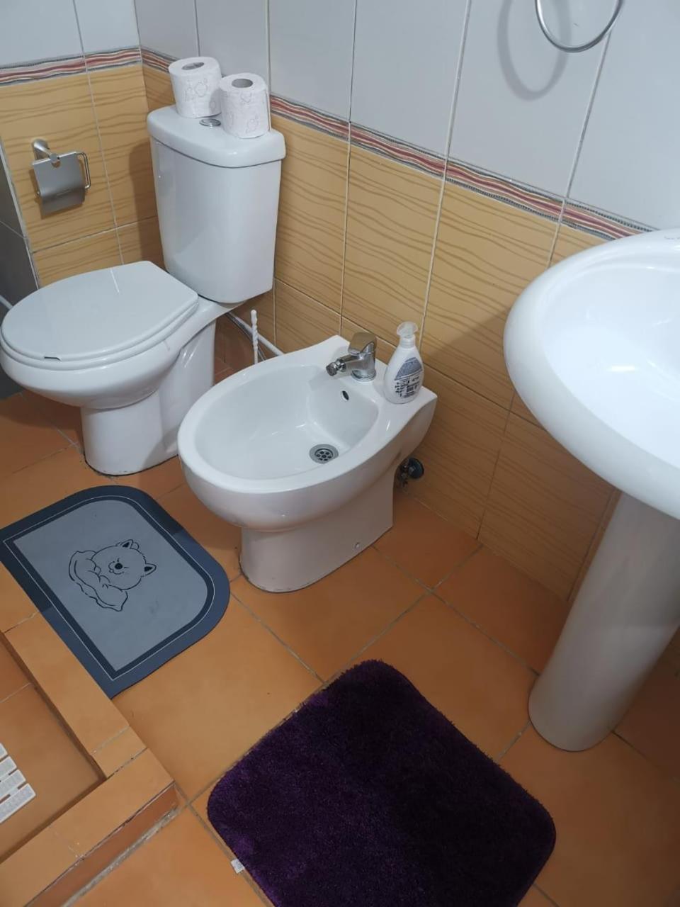 Downtown Authentic Apartment Tirana Myslym Shyri מראה חיצוני תמונה